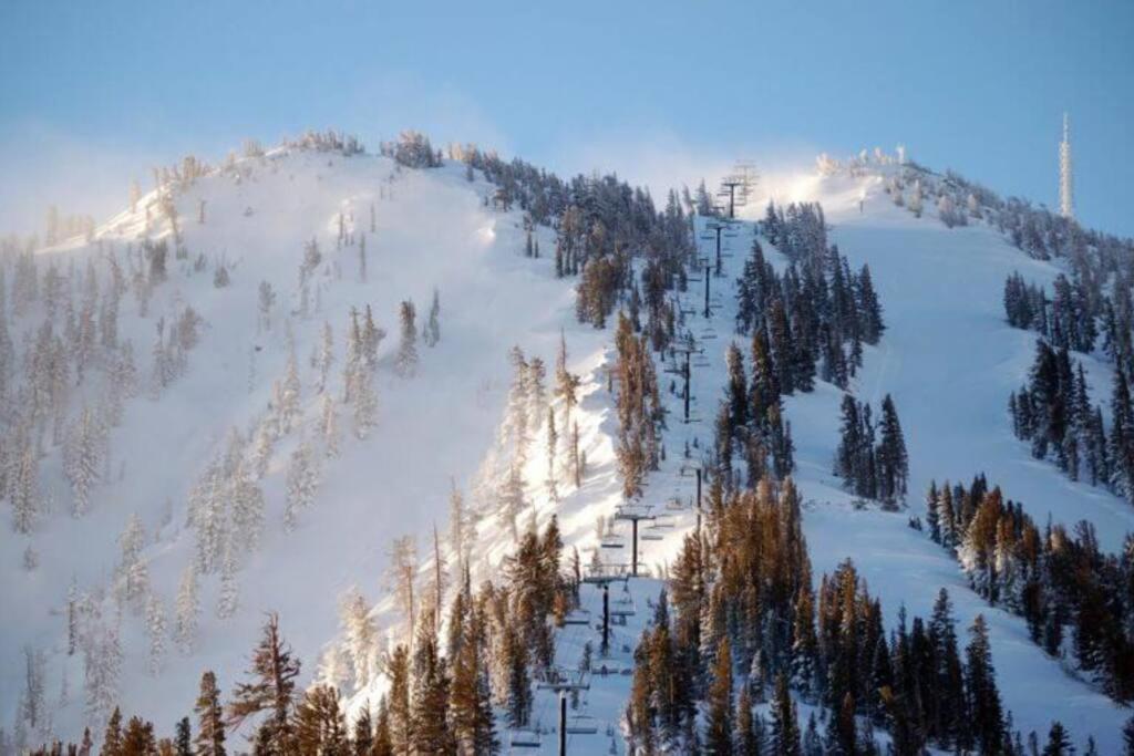 New Upscale House, Tahoe 30-Min W/ Cal King Reno Exteriör bild